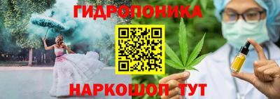ECSTASY Лесосибирск