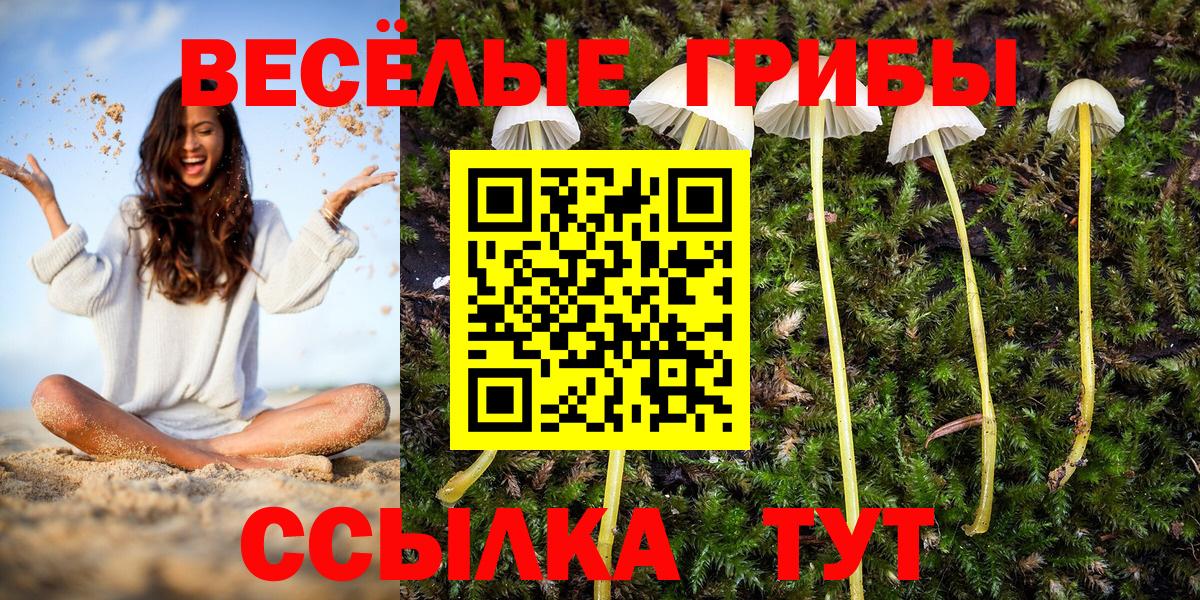 Шахты  Псилоцибиновые грибы мицелий  Вход с VPN 