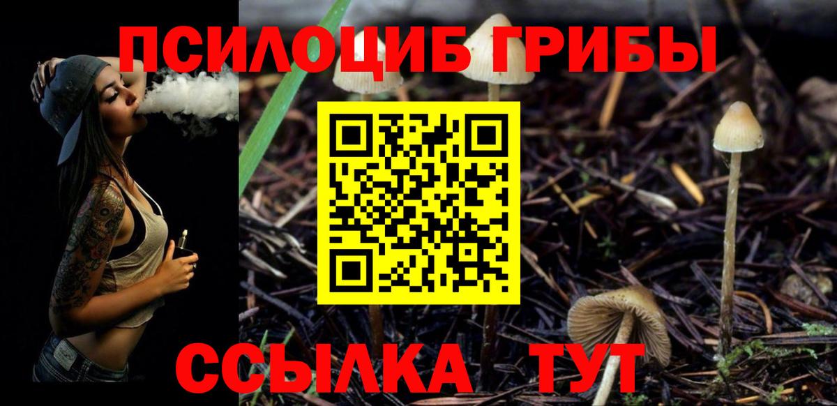 Галлюциногенные грибы мухоморы Шахты
